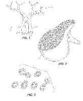 Systems For And Methods For Using Biomimetic Structures Providing Communication In Living Tissue — 图样 6 / mark 6 · Laos patent