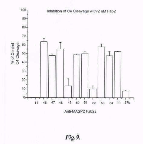 Methods For Inhibiting Angiogenesis In A Subject In Need Thereof — 图样 4 / mark 4 · Laos patent