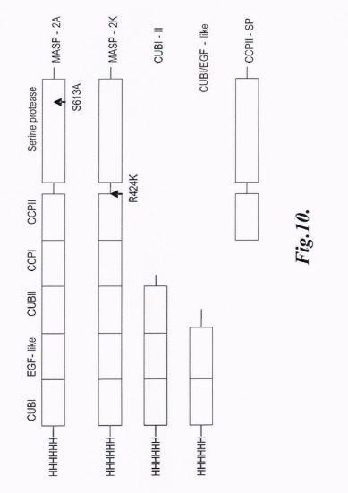Methods For Inhibiting Angiogenesis In A Subject In Need Thereof — 图样 5 / mark 5 · Laos patent