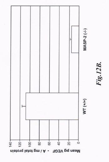 Methods For Inhibiting Angiogenesis In A Subject In Need Thereof — 图样 8 / mark 8 · Laos patent