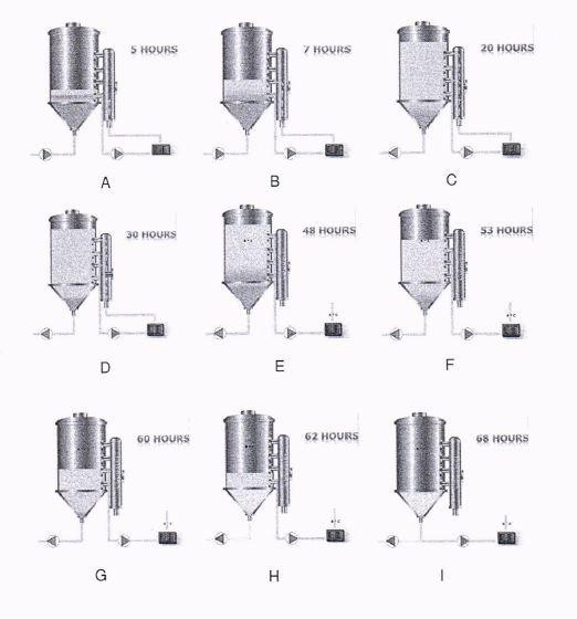 Fermentation tank with side ports and method of operation — 图样 3 / mark 3 · Laos patent