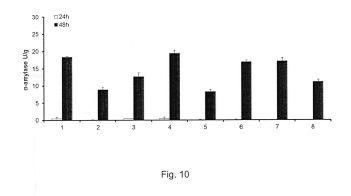 Refined cereal-based beverages — 图样 2 / mark 2 · Laos Patent
