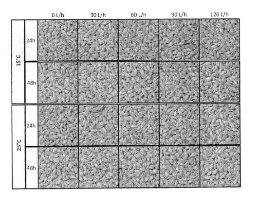 Refined cereal-based beverages — 图样 7 / mark 7 · Laos Patent