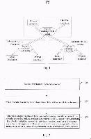 MULTI-CENTER FILE TRANSFER PROCESSING METHOD AND APPARATUS — 图样 6 / mark 6 · Laos Patent