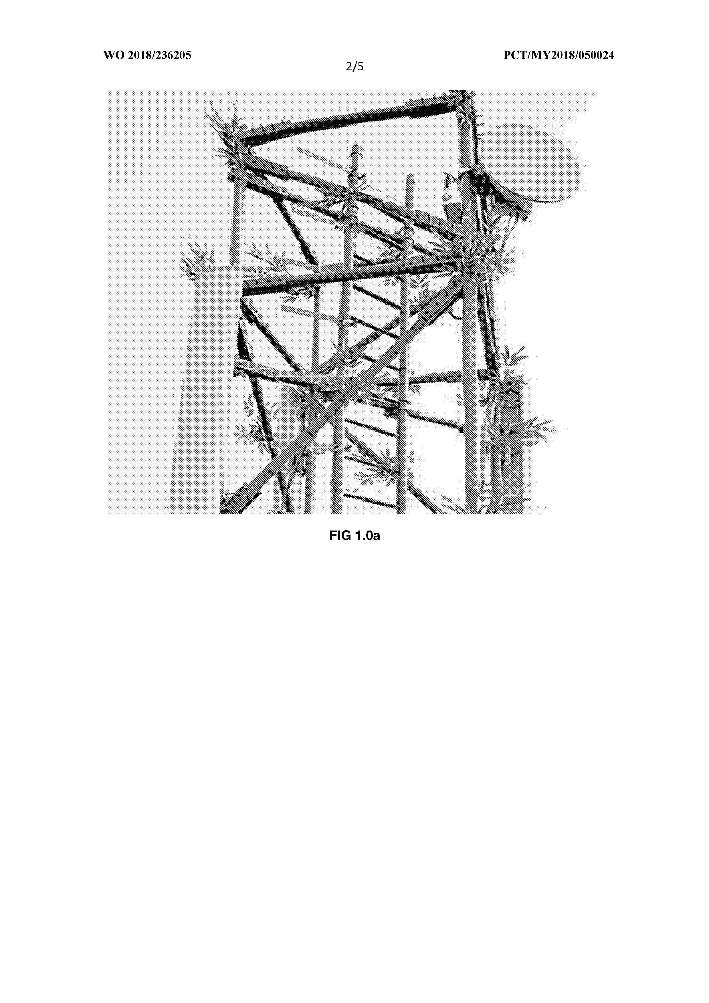 BAMBOO TELECOMMUNICATION TOWER — 图样 2 / mark 2 · Laos patent