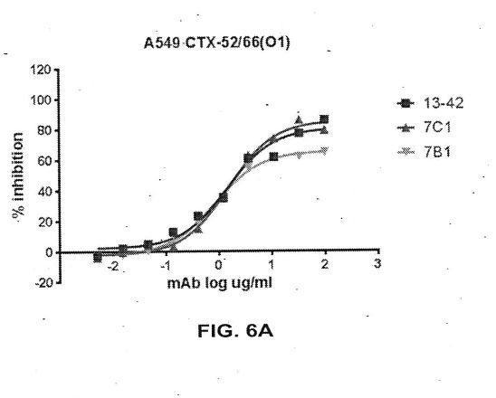 ANTIBODIES SPECIFICALLY RECOGNIZING PSEUDOMONAS PCRV AND USES THEREOF — 图样 4 / mark 4 · Laos Patent