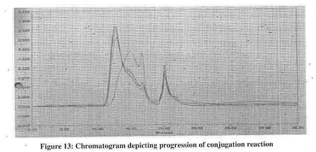 IMMUNOGENIC COMPOSITIONS AGAINST ENTERIC DISEASES AND METHODS FOR ITS PREPARATION THEREOF — 图样 4 / mark 4 · Laos Patent