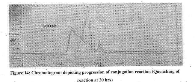 IMMUNOGENIC COMPOSITIONS AGAINST ENTERIC DISEASES AND METHODS FOR ITS PREPARATION THEREOF — 图样 5 / mark 5 · Laos Patent