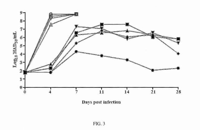 DEVELOPMENT OF A NOVEL LIVE ATTENUATED AFRICAN SWINE FEVER VACCINE BASED IN THE DELETION OF GENE I177L — 图样 3 / mark 3 · Laos patent