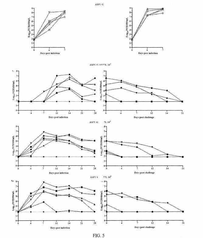 DEVELOPMENT OF A NOVEL LIVE ATTENUATED AFRICAN SWINE FEVER VACCINE BASED IN THE DELETION OF GENE I177L — 图样 5 / mark 5 · Laos patent