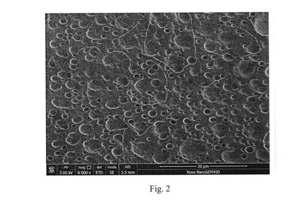 Flexible Multi-level Phase Change Material Having Having Cross-linked Network Structure and Preparation Method Therefor — 图样 2 / mark 2 · Laos patent