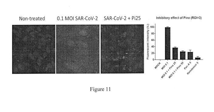 A PHARMARCEUTICAL COMPOSITION CAPABLE OF INHIBITING REPLICATION OF CORONAVIRUS — 图样 2 / mark 2 · Laos patent