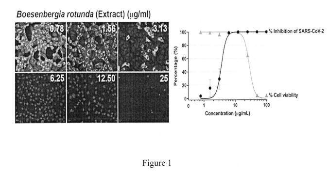 A PHARMARCEUTICAL COMPOSITION CAPABLE OF INHIBITING REPLICATION OF CORONAVIRUS — 图样 3 / mark 3 · Laos patent