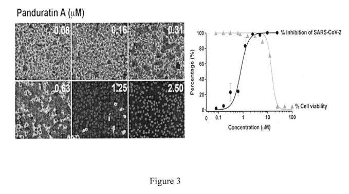 A PHARMARCEUTICAL COMPOSITION CAPABLE OF INHIBITING REPLICATION OF CORONAVIRUS — 图样 5 / mark 5 · Laos patent
