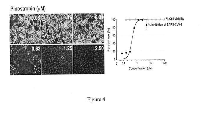 A PHARMARCEUTICAL COMPOSITION CAPABLE OF INHIBITING REPLICATION OF CORONAVIRUS — 图样 6 / mark 6 · Laos patent