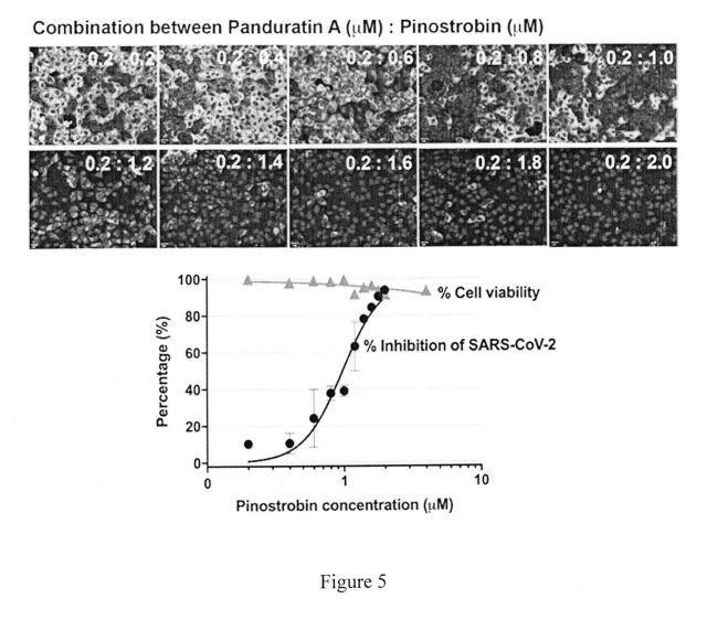 A PHARMARCEUTICAL COMPOSITION CAPABLE OF INHIBITING REPLICATION OF CORONAVIRUS — 图样 7 / mark 7 · Laos patent