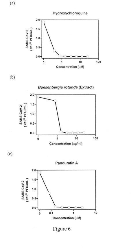 A PHARMARCEUTICAL COMPOSITION CAPABLE OF INHIBITING REPLICATION OF CORONAVIRUS — 图样 8 / mark 8 · Laos patent
