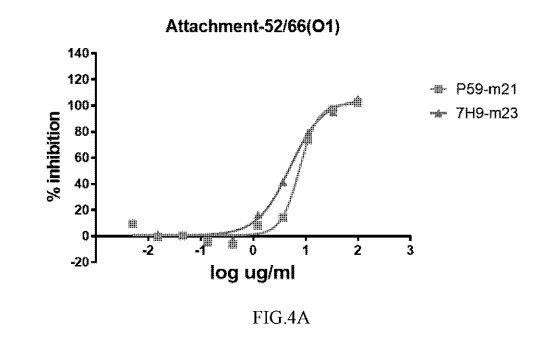 ANTIBODIES SPECIFICALLY RECOGNIZING PSEUDOMONAS PSL AND USES THEREOF — 图样 5 / mark 5 · Laos patent