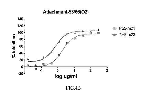 ANTIBODIES SPECIFICALLY RECOGNIZING PSEUDOMONAS PSL AND USES THEREOF — 图样 6 / mark 6 · Laos patent